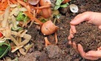 Curso ensinará fundamentos da compostagem doméstica