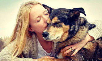 MÃE DE PET TAMBÉM É MÃE