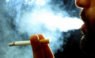 Consumo de tabaco é responsável por 90% dos casos de câncer de pulmão