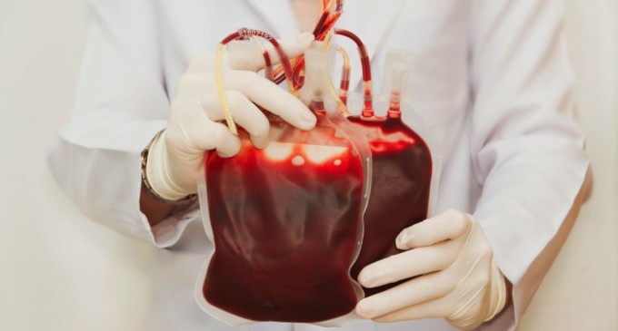HemoPel precisa de doações de sangue tipo O