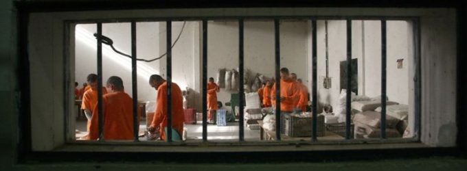 Forças de segurança de Pelotas avaliam aumento de pena por furto