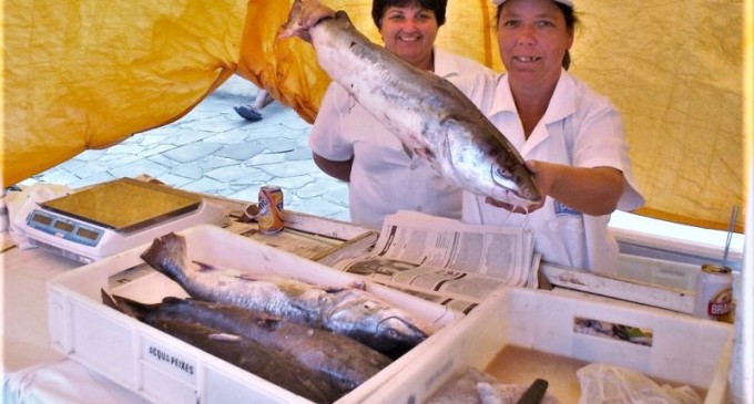 Dezoito bancas em Pelotas mantêm vendas de peixes durante todo o ano. Veja aonde comprar