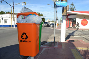       Além da colocação indevida de excedentes domésticos, orgânicos, as lixeiras tornaram-se referência para acúmulo de sacos de lixo no seu entorno 