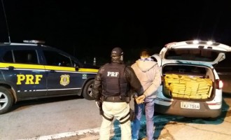 MACONHA : Polícia Rodoviária apreende mais meia tonelada em ação na BR -116