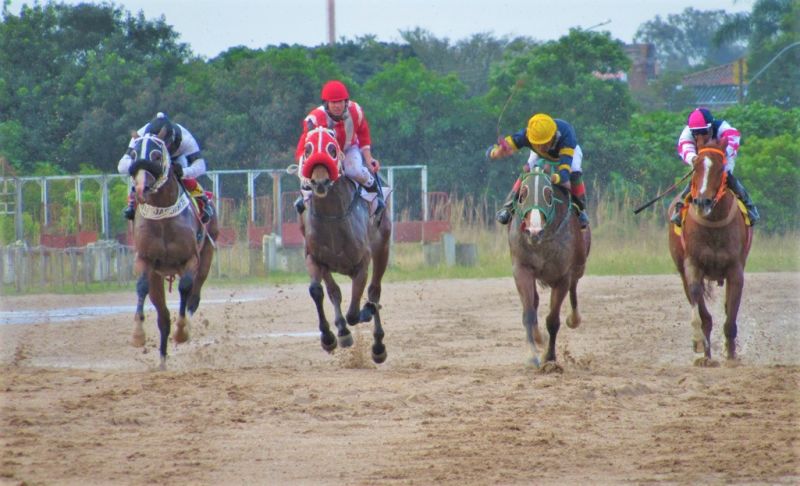 PRÓXIMO domingo será de atrações imperdíveis ao público que se liga no turfe Foto: Álvaro Guimarães/Jockey Club de Pelotas 