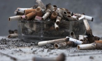 Tabaco mata mais de 6 milhões por ano