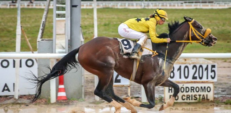 Aos 29 anos, a joqueta natural de Itaqui, que hoje trabalha no Hipódromo do Cristal em Porto Alegre depois de várias temporadas em Curitiba, montará o garanhão Raçador, que chega a Pelotas como um dos favoritos da prova ao lado de Let Me Free, Bolt da Lagoa e Big Stick. “É uma grande responsabilidade correr representando todas as mulheres gaúchas e pretendo fazer isso com muita garra e dedicação”, disse B. Melo.