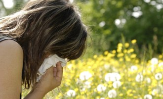 Nem só de flores vive a primavera, nessa época do ano entram em cena também as alergias