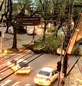 Árvore caiu no meio da pista na Avenida Bento Gonçalves