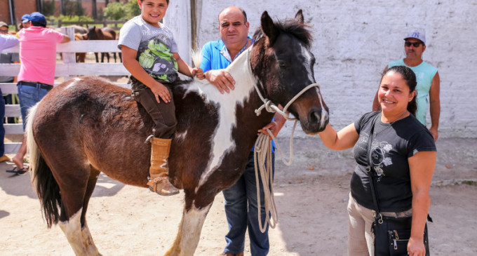 Hospedaria de Grandes Animais realiza doação de 17 cavalos