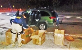 CONTRABANDO : PRF apreende 7 mil CDs e DVDs  e 300 kg de camarão na BR-116