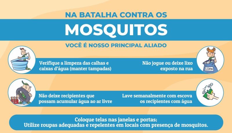 Aedes dicas 02