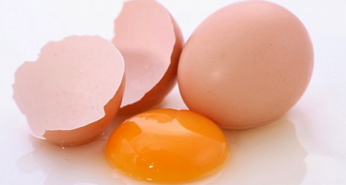 Vigilantes do Peso desvenda os mitos sobre o ovo