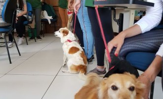 UFPel realiza oficina de Pet Terapia