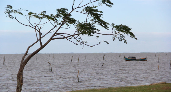 PESCA  : Lagoa salgada é prenúncio de boa safra