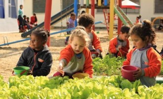 Projeto Escola Mais Verde transforma educandários infantis de Pelotas