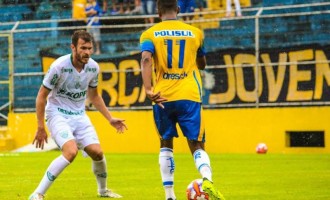 Lobo afinado para  o primeiro embate