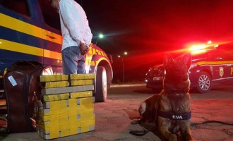 POLÍCIA RODOVIÁRIA FEDERAL : Apreensão recorde de maconha em 2018