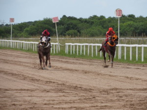 Montado por L. Gouvea cavalo de Luiz Antonio Alves(E) venceu principal prova do dia na Tablada FOTO: Álvaro Guimarães/AI/JCP – Especial D