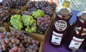 Produtores aprovam sistema de feiras para venda de uva
