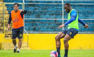 PELOTAS : Lobo em campo nos Eucaliptos