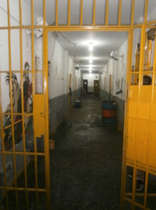 O número de encarceradas sem condenação no PRP também aumentou durante o período.