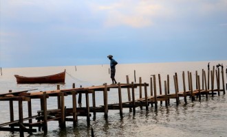 SAFRA DO CAMARÃO : Captura liberada mas sem as redes na Lagoa