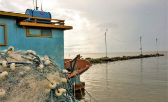 LAGOA DOS PATOS : Mudanças climáticas favorecem entrada do camarão