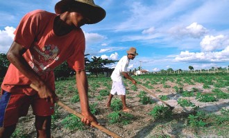 Governo altera definição de agricultor familiar