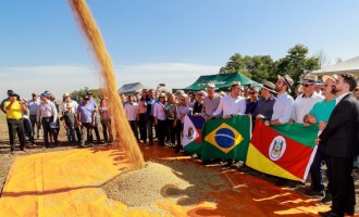 SOJA : Estado abre colheita de uma das maiores safras de soja da história