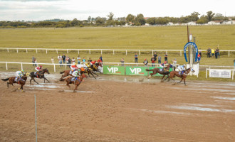 TABLADA  : Direção suspende corridas e lança campanha “Todos pelo Jockey Club”