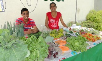 Mercado brasileiro de orgânicos fatura R$ 4 bilhões