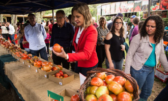 1ª Fetomate é realizada com sucesso