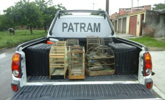 Sede da PATRAM será inaugurada na região do Quadrado