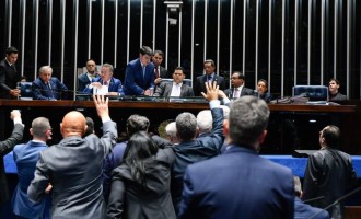 Senado derruba decreto sobre armas