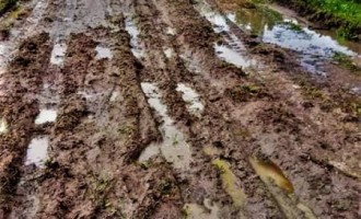 Prefeitura realiza força-tarefa para contornar problemas ocasionados pela chuva