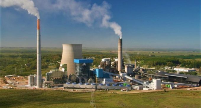 Ação judicial contesta usinas térmicas a carvão em leilão de energia