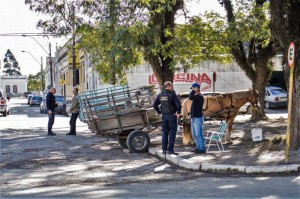 Dez veículos e cavalos foram abordados para verificação das condições de saúde do animal e situação das carroças