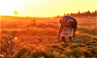 PROPRIEDADE RURAL : Declaração do Imposto até 30 de setembro