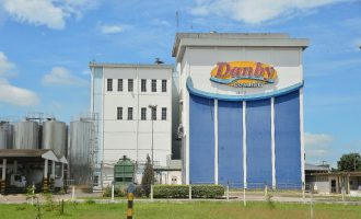 Empresa deposita cerca de R$ 49 milhões pela arrematação de imóvel da Cosulati