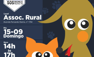 SOS Animais promove mais uma Feira de Adoção de Cães e Gatos