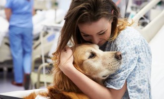 PROJETO DE LEI MUNICIPAL : Pacientes hospitalizados podem receber visitas de animais