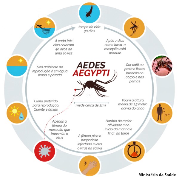 Combate ao Aedes