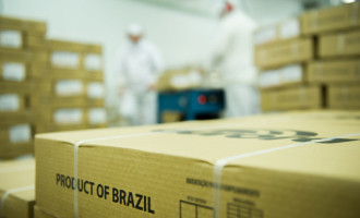 Receita das exportações de carne suína cresce 38,4% em outubro