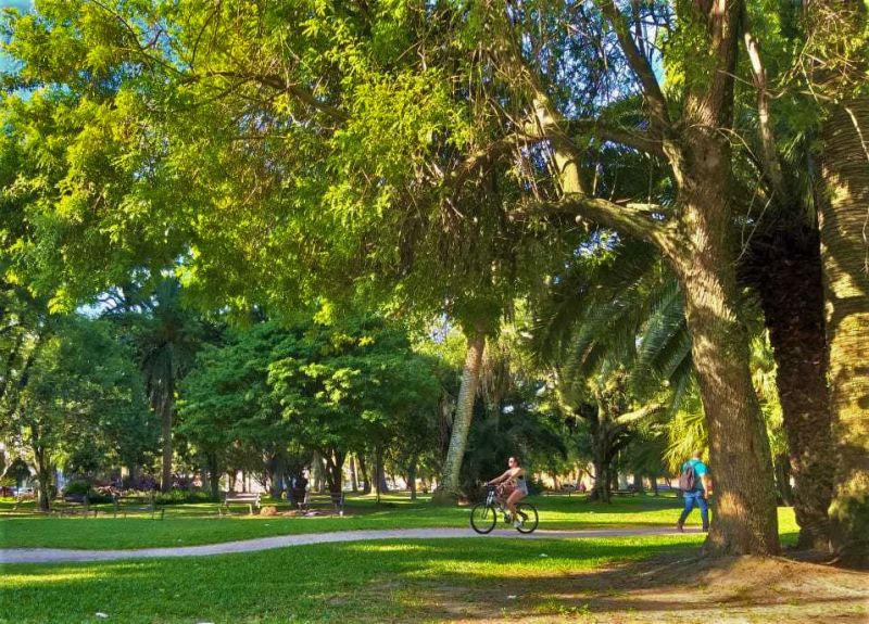 Parque Dom Antônio Zattera recebe primeiras etapas de projeto de ...