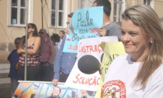 Mobilização chama atenção do executivo para a causa animal