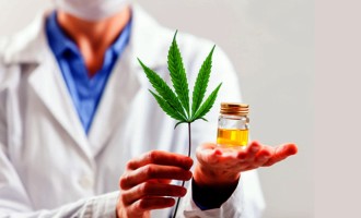 Medicamentos à base de cannabis podem ajudar no tratamento de doenças graves