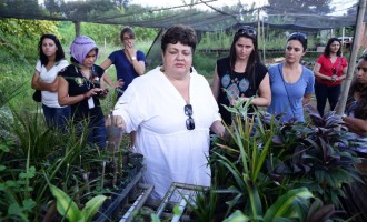 PRÊMIO DE R$20 MIL : Concurso seleciona mulheres com empreendimentos rurais