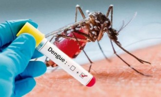 Números da dengue disparam no Brasil