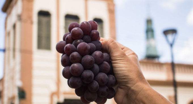 LARGO EDMAR FETTER : Feira de Uvas de Pelotas inicia antes do previsto